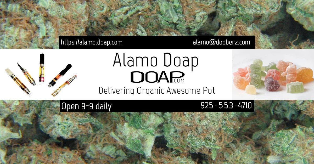 Watch an informational video about Alamo Doap!